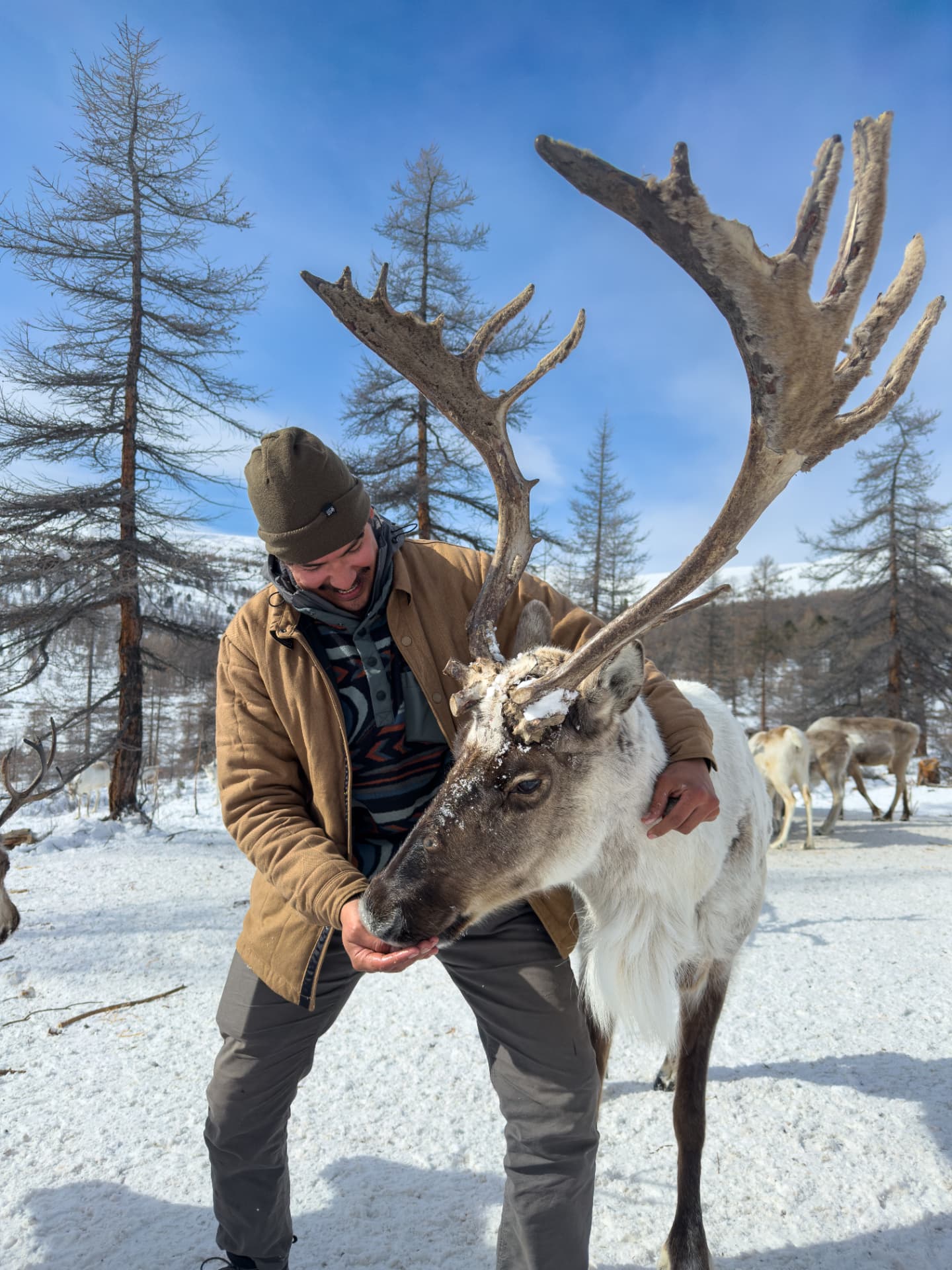 Jason feeding a reindeer at a winter camp in northern Mongolia